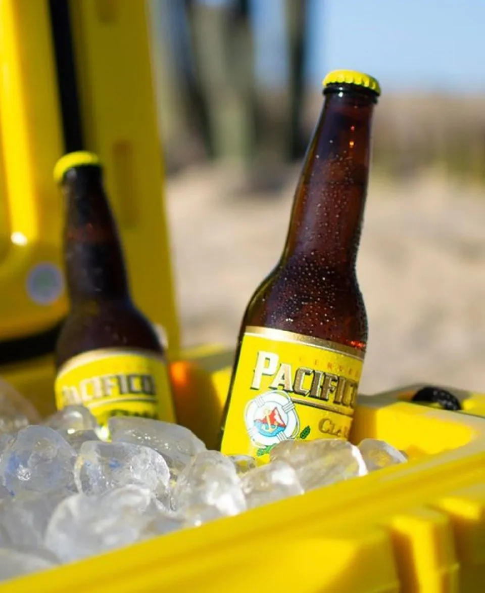 Pacifico